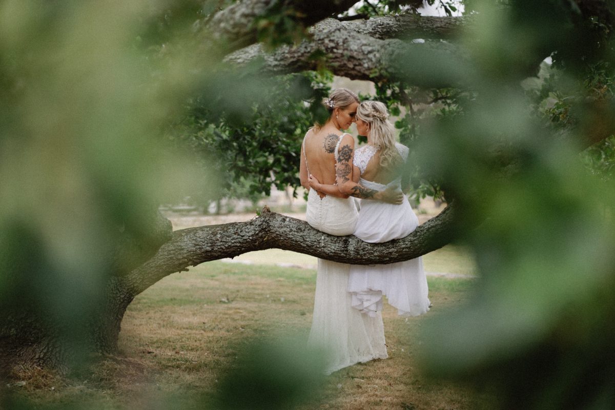 Two brides embrace while sitting on a tree in this shot taken by Bowral Wedding Photographer Thomas Stewart